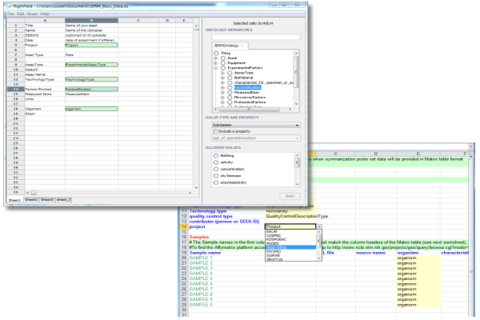 RightField RightField